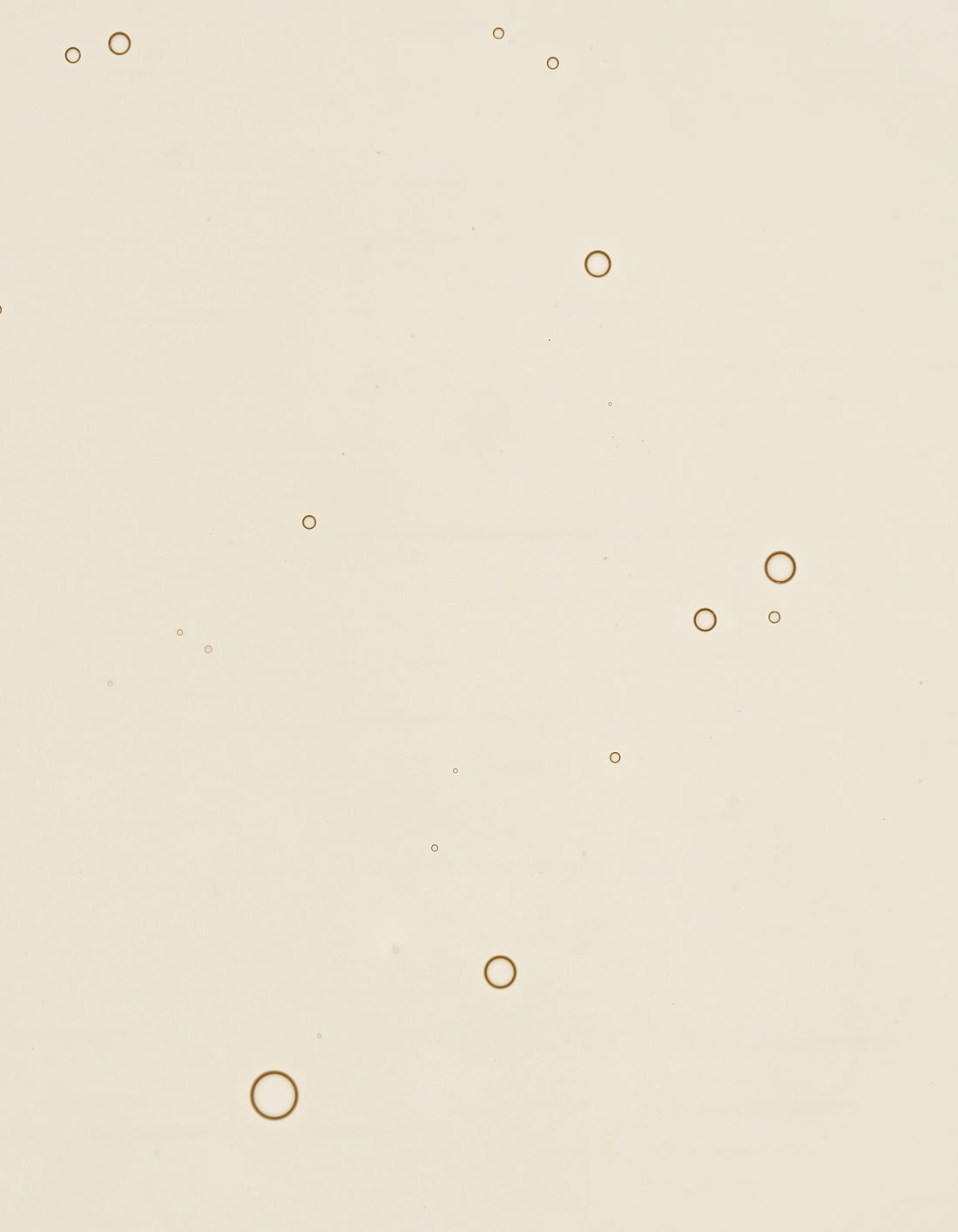 Rose Hyaluronic Serum